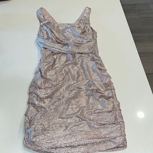 Express - Rose Gold Fitted Dress